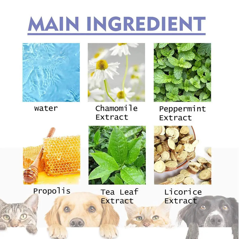 Oral Cleanse Spray – Natural Breath Freshener & Dental Care for Dogs & Cats (50ml)