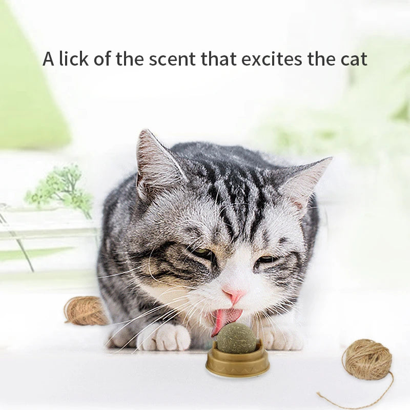 Catnip Wall Ball – Natural Stick-On Cat Toy & Digestive Treat (Cat Grass Snack)