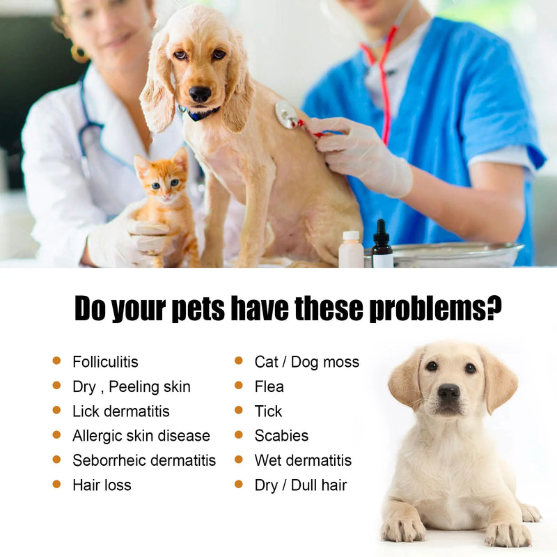 Coat Care Serum – Natural Soothing & Shine Formula for Dogs & Cats