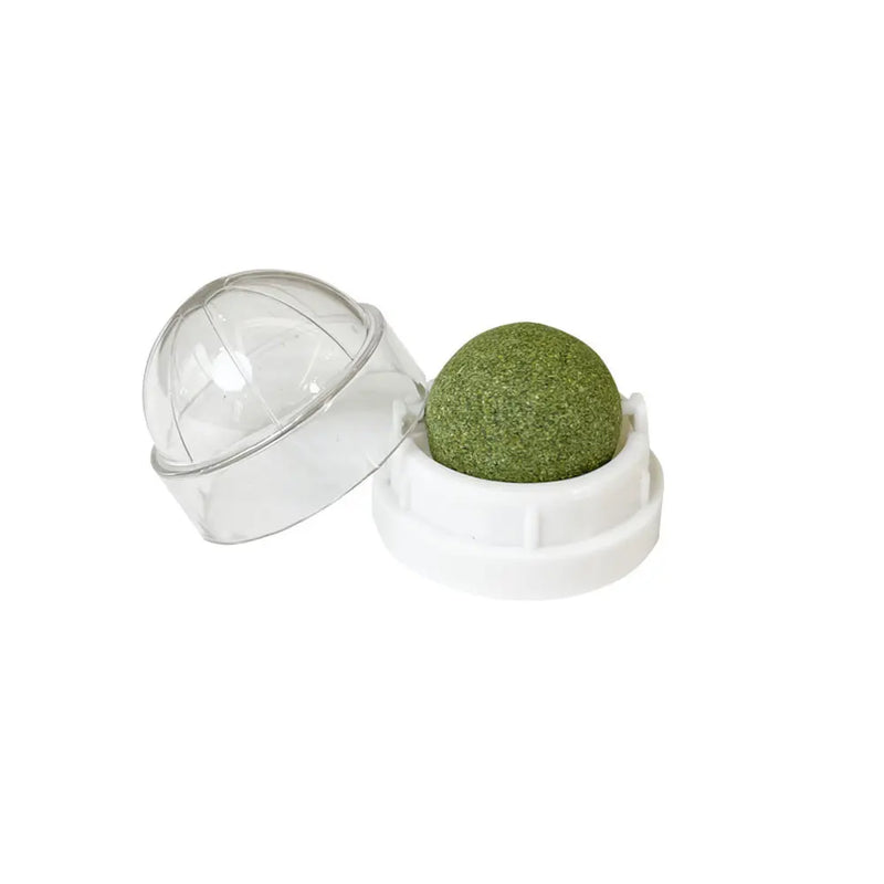Catnip Wall Ball – Natural Stick-On Cat Toy & Digestive Treat (Cat Grass Snack)