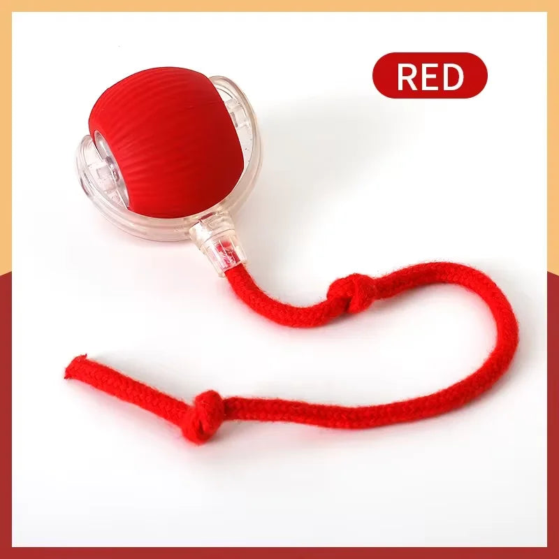 Smart Rolling Ball Cat Toy – Interactive Rechargeable Pet Toy