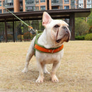 No Pull Dog Harness — Soft, Secure & Reflective Comfort for Every Walk