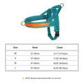 No Pull Dog Harness — Soft, Secure & Reflective Comfort for Every Walk