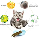 Natural Silvervine Cat Sticks – 6pcs Matatabi Chew Toys for Dental Health & Play